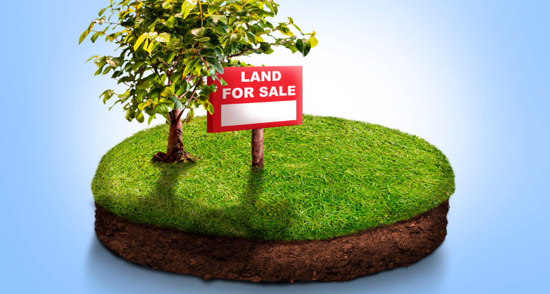 Top Benefits of Investing in DTCP-Approved Plots in Andhra Pradesh